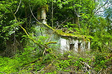 Derelict traditional period old stone cottage overgrown and in need of renovation at Tallow, County Waterford, Ireland