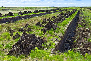 Turf bog shows cutting and stacks of peat (footings) at Mountrivers peat bog, County Clare, West of Ireland