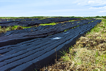 Turf cut by machine laid out to dry at Mountrivers peat bog, County Clare, West of Ireland