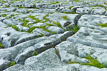 Limestone pavement glaciated karst landscape in The Burren,  County Clare, West of Ireland