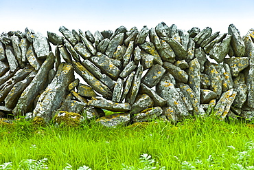 Traditional dry stone wall, vertical sloping stones, in field in The Burren, County Clare, West of Ireland