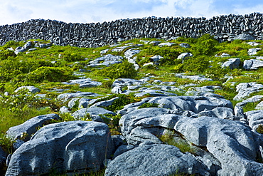 The Burren famous glaciated karst pavement landscape of limestone and dry stone walls, County Clare, West of Ireland