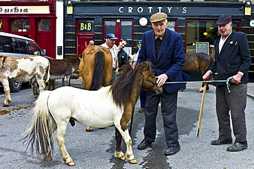 Horse fair in market square in Kilrush, Co. Clare, Ireland. Traditional for locals and travellers to trade horses and ponies