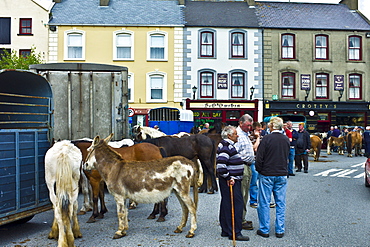 Horse fair in market square in Kilrush, Co. Clare, Ireland. Traditional for locals and travellers to trade horses and donkeys