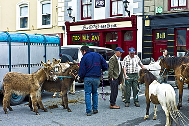 Horse fair in market square in Kilrush, Co. Clare, Ireland. Traditional for locals and travellers to trade horses and donkeys