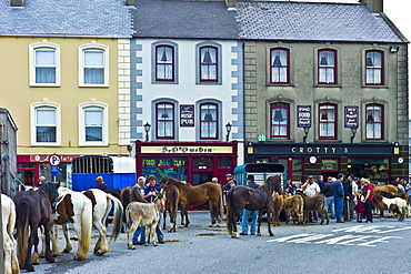 Horse fair in market square in Kilrush, Co. Clare, Ireland. Traditional for locals and travellers to trade horses and donkeys