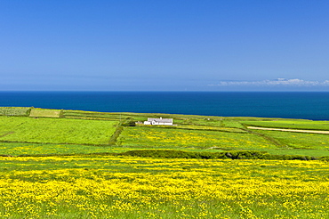 Traditional cottage on the Atlantic coast at Killard, County Clare, West Coast of Ireland