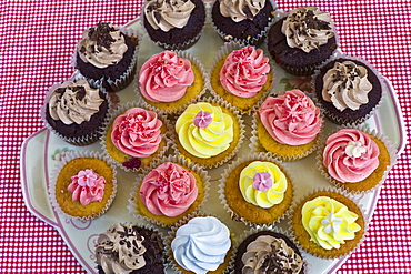 Brightly coloured cup cakes on sale at Farmers Market, County Clare, West of Ireland