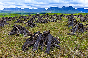 Stacked peat in turf bog on the Old Bog Road near Roundstone, Connemara, County Galway