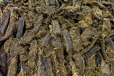 Stacked peat in turf bog on the Old Bog Road near Roundstone, Connemara, County Galway