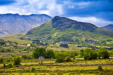 Cottages at the foot of the Maamturk mountains near Maam, Connemara, County Galway, Ireland