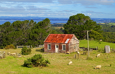 Traditional homestead with mailbox, North Island, New Zealand