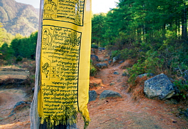 Buddhist prayer flag on mountain path to Tak Tsang Monaster, Bhutan