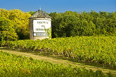 Chateau de Terrefort Quancard vineyard, Bordeaux, France