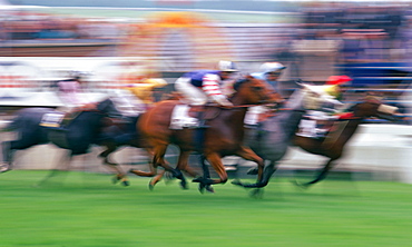 Soft focus horseracing action at Epsom Races in Surrey, United Kingdom on the famous Derby Day