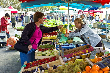 French woman buying grapes at fruit stall in food market at Esplanade  des Quais in La Reole, Bordeaux region, France