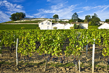 Chateau Pavie at St Emilion in the Bordeaux wine region of France