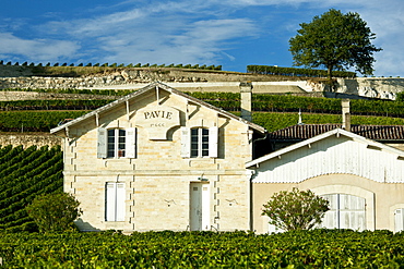 Chateau Pavie at St Emilion in the Bordeaux wine region of France