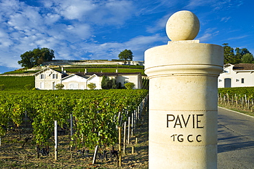 Chateau Pavie at St Emilion in the Bordeaux wine region of France