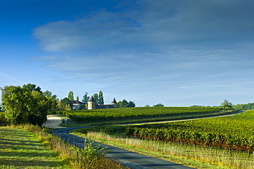 Chateau de Trois Tours and Bordelais vineyards in the Bordeaux wine region of France