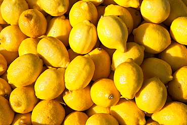 Lemons on sale at food market in Bordeaux region of France