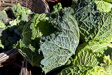 Freshly-picked green cabbages and brocolli on sale at food market in Bordeaux region of France