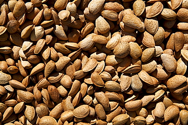 Fresh almonds on sale at food market in Bordeaux region of France