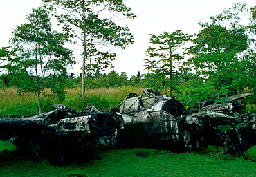 A wrecked World War II airplane abandoned in the Solomon Islands