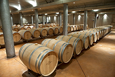 Oak wine barrels in cave at Chateau Beau-Sejour Becot at St Emilion in the Bordeaux wine region of France