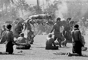 Suckling pig carried by native men at tribal gathering in Western Samoa, South Pacific