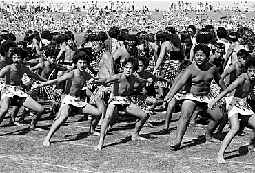 Traditional maori ceremony and war dance, New Zealand