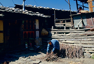 Stacking firewood at home, Paro, Bhutan