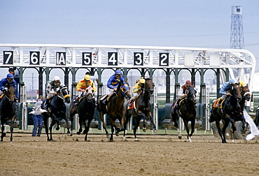 Horseracing at Woodbine Racecourse at Coburg in Canada