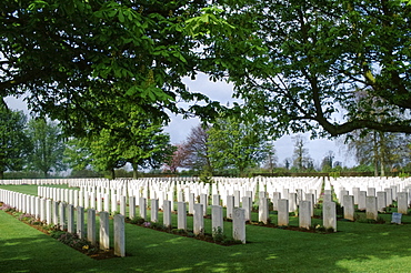 Commonwealth war graves from World War II at cemetery in Normandy, France