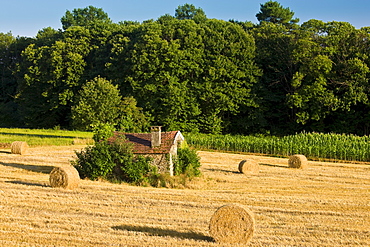 Typical stone barn in wheat field in the Dordogne, France