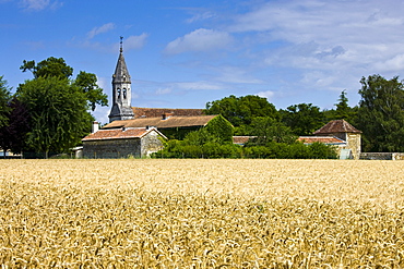 Traditional church and village scene across wheat field at Mondion, Loire Valley, France