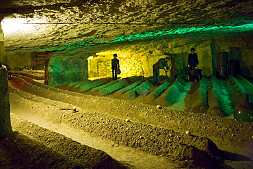 Historic reconstruction of mushrooms growing in former troglodyte cave at Le Saut aux Loups, in the Loire Valley, France