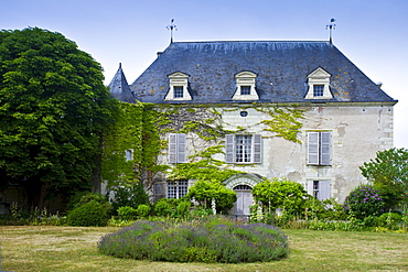 Chateau de Chaintres in Saumur Champigny region of the Loire Valley, France