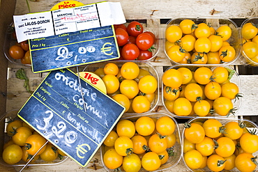 Local produce red tomatoes and yellow tomatoes, at farmers market in Normandy, France