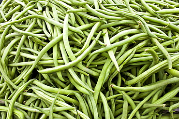 Local produce haricots verts beans at farmers market in Normandy, France