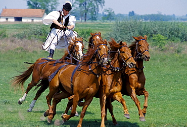 Hungarian Csikos cowboy giving display of horsemanship skills on The Great Plain of Hungary  at Bugac, Hungary