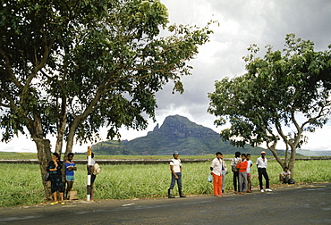 Local people by sugar cane plantation in Mauritius