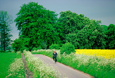 Man cycling along country lane near Coates in Gloucestershire, England