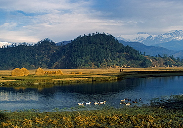 Foothills of Himalayas near Pokhara in Nepal. Annapurna mountain range in the background