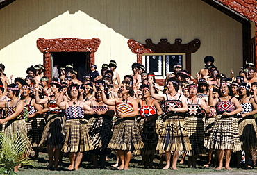 Maori women dancing at tribal gathering in front of the Wharenui meeting house at the Marae in New Zealand