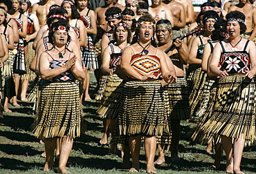 Maori women dancing at tribal gathering at the Marae in New Zealand