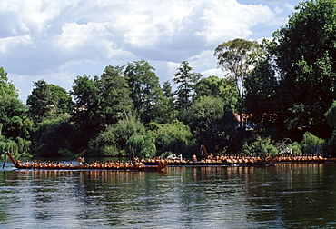 Maori warriors in war canoes during cultural display in New Zealand