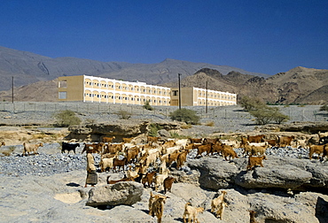 New construction in Oman in the late 1970s, Middle East