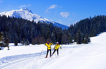 Cross-country skiing near Klosters - Amongst the Silvretta group of the Swiss Alps.