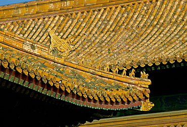 Roof tiles and decoration in Forbidden City, Beijing, China